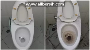 jasa pembersih kamar mandi jakarta selatan.webp